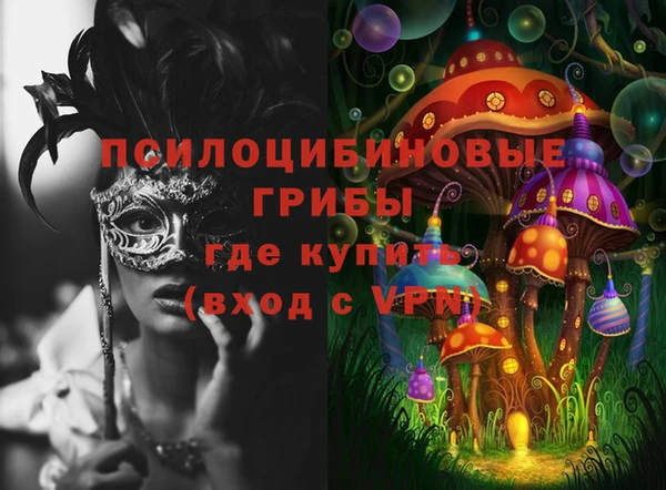 молекула духа Михайловск