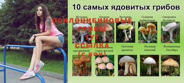 каннабис Медногорск