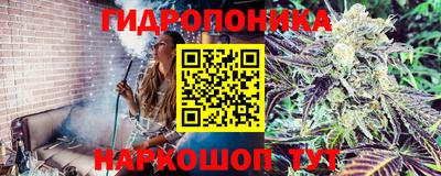 хмурый Ипатово