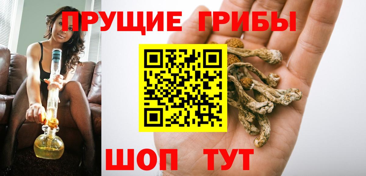 Саки  Псилоцибиновые грибы прущие грибы  Вход с VPN 