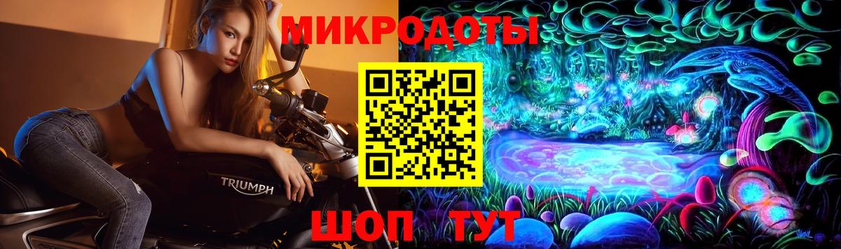 Псилоцибиновые грибы Cubensis Саки